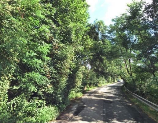 II/393 Oslavany průtah I. stavba