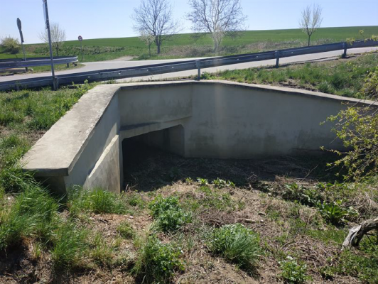 III/37739 Hamiltony, most ev.č. 37739-2 přes místní potok