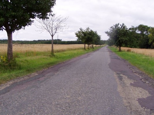 II/398 Horní Dunajovice - Mikulovice - Pavlice