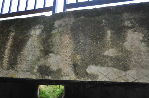 II/431 Most přes Rostěnický potok ev.č. 431-003