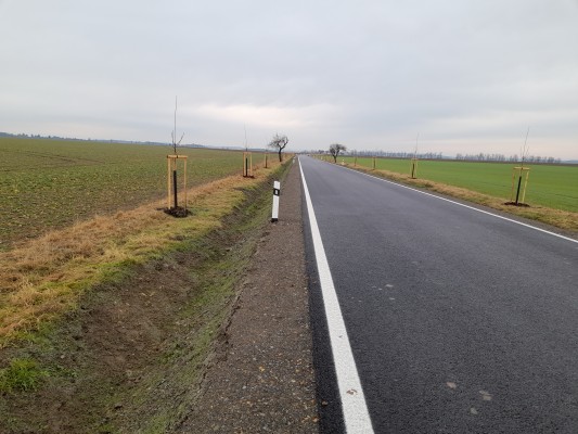 II/411 Korolupy - Vysočany