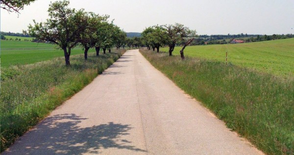 Mikrokoberce 2024 - III/40825 Milíčovice - Horní Břečkov