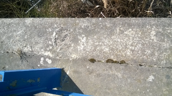 II/419 Násedlovice, most ev.č. 419-002