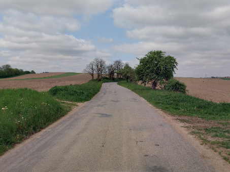 III/3626 Olešnice - Trpín, hr. Pardubického kr.