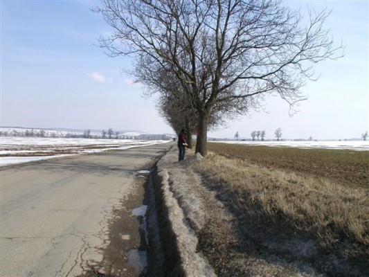 III/4314 Rostěnice - Luleč