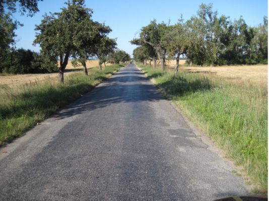 II/411 Korolupy - Vysočany