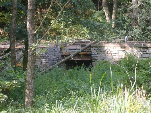 III/37918 Brno, Blanenská most ev.č. 37918-5