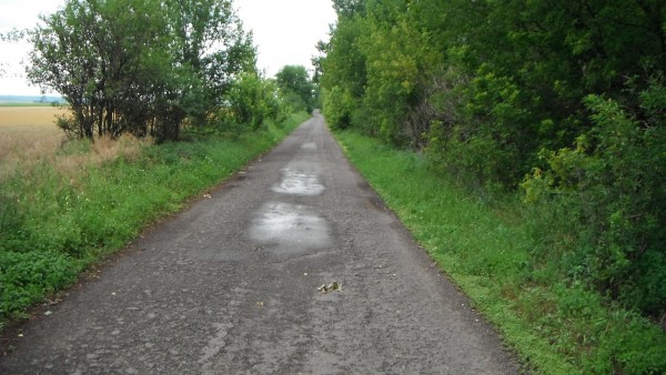 III/0523 Mikulov - Ottenthal