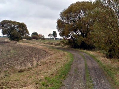 III/39819 Šafov - Riegesburg